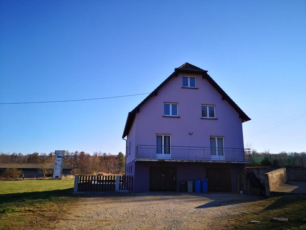A L'Oree Du Bois Romanswiller Екстер'єр фото